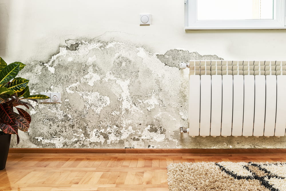 L’humidité due à une mauvaise ventilation : causes, conséquences et solutions